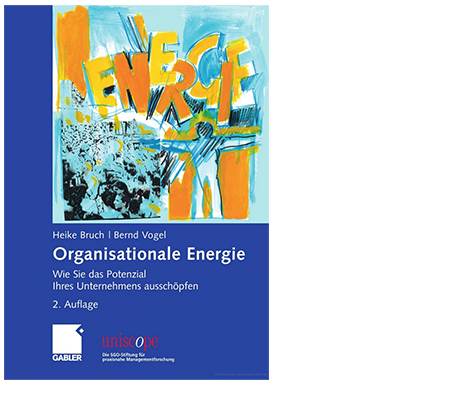 Buchtitel_Organisationale-Energie